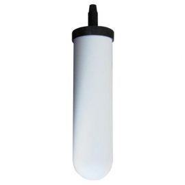Doulton W9121750 10-inch Super Sterasyl Ceramic Filter Candle