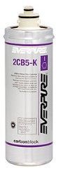 Everpure 2CB5-K EV9617-06 Replacement Filter Cartridge
