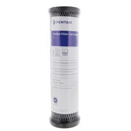 Pentek C-1 Carbon Water Filters (9.75-inch x 2.5-inch)