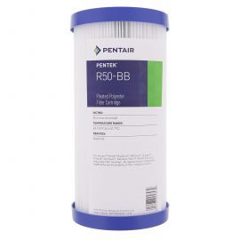 Pentek R50-BB Pleated Polyester Water Filters (9-3/4-inch x 4-1/2-inch)