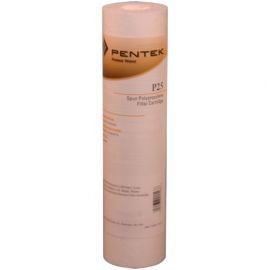 Pentek P25 Sediment Water Filters (9-3/4-inch x 2-3/8-inch)
